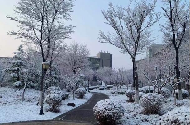 1611120615265443.jpg QQ截图20210120133003.jpg